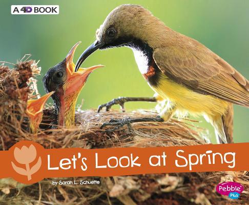 Let's Look at Spring: A 4D Book 154350874X Book Cover