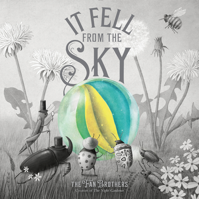 It Fell From The Sky 0711270651 Book Cover