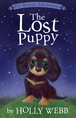 The Lost Puppy 1680100270 Book Cover