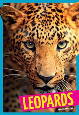 Leopards 1607536021 Book Cover