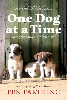 One Dog at a Time: Saving the Strays of Afghani... 1250001951 Book Cover