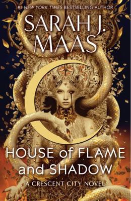 House of Flame and Shadow 1639732934 Book Cover