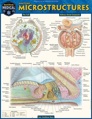 Anatomy Microstructures: A Quickstudy Laminated... 1423251458 Book Cover