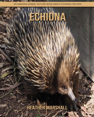 Paperback Echidna: An Amazing Animal Picture Book about Echidna for Kids [Large Print] Book