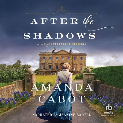After the Shadows B0CJB73MGP Book Cover