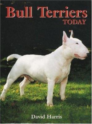 Bull Terriers Today 1860540988 Book Cover