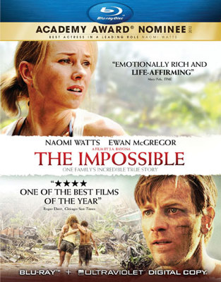 The Impossible Book Cover