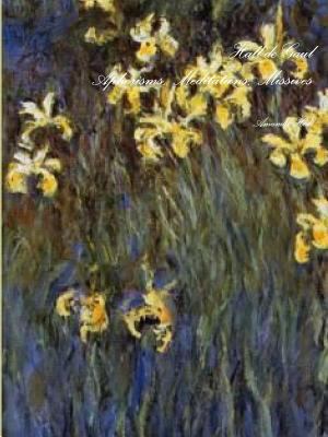 Hall de Gaul: Aphorisms, Meditations, Missives 1312008954 Book Cover