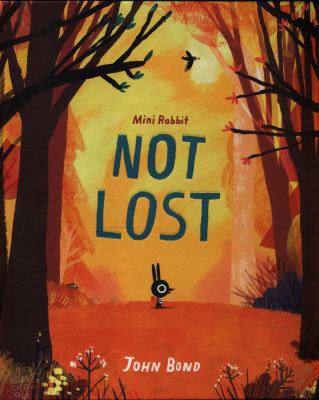 Mini Rabbit Not Lost 000826483X Book Cover