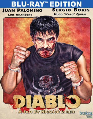 Diablo 6316290624 Book Cover