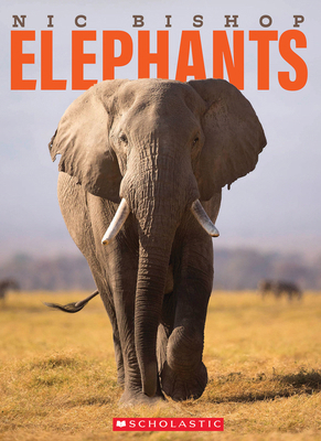 Nic Bishop Elephants 0545605806 Book Cover