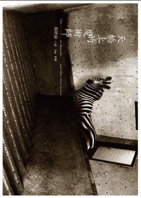 Flyovers magician(Chinese Edition) [Mandarin_chinese] 9868781906 Book Cover