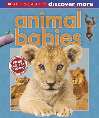 Animal Babies. Penny Arlon 1407131486 Book Cover