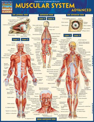 Muscular System Advanced 1423217721 Book Cover