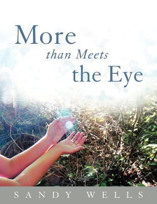 More than Meets the Eye 1452546940 Book Cover
