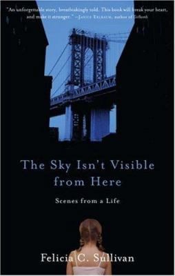 The Sky Isn't Visible from Here: Scenes from a ... 1565125150 Book Cover