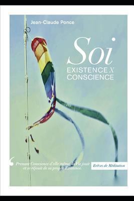 Brèves de Méditation: Soi Existence X Conscience [French] 1718186002 Book Cover