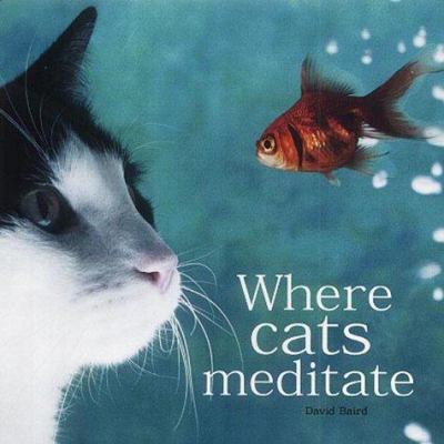 Where Cats Meditate 184072434X Book Cover