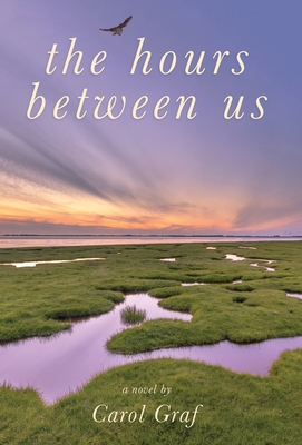 The Hours Between Us 163505236X Book Cover