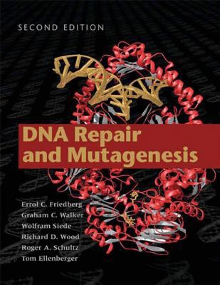 DNA Repair and Mutagenesis B01A9705VC Book Cover