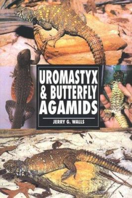 Uromastyx & Butterfly Agamids 079382074X Book Cover