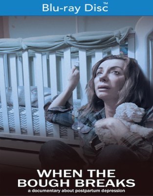 When The Bough Breaks            Book Cover