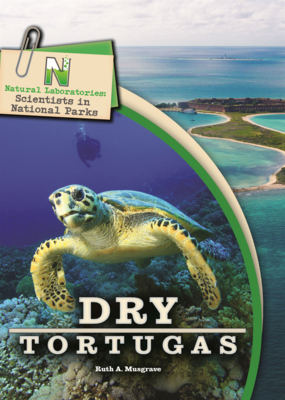 Dry Tortugas B0GMYLY5SF Book Cover