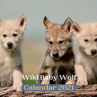 Wild Baby Wolf Calendar 2021