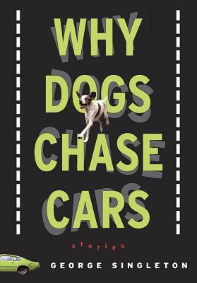 Why Dogs Chase Cars: Tales of a Beleaguered Boy... 1565124049 Book Cover