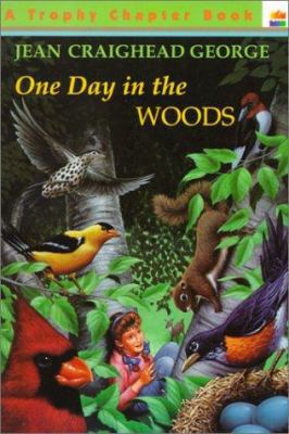 One Day in the Woods 0785777733 Book Cover