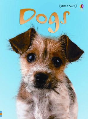 Dogs (Usborne Beginners: Information For Young ... 0794513956 Book Cover