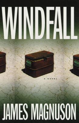 Windfall: A Novel 0375502106 Book Cover