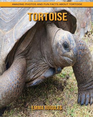 Paperback Tortoise: Amazing Photos and Fun Facts about Tortoise [Large Print] Book
