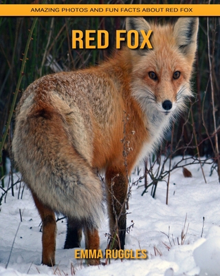 Red Fox: Amazing Photos and Fun Facts about Red Fox