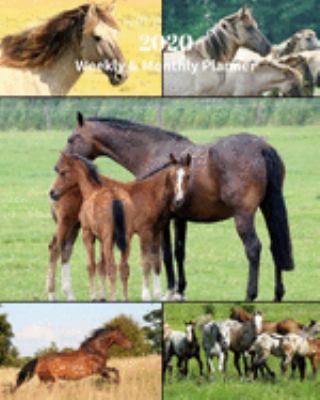 2020 Weekly and Monthly Planner: Horse Collage - Monthly Calendar with U.S./UK/ Canadian/Christian/Jewish/Muslim Holidays– Calendar in Review/Notes 8 x 10 in.-Horse Breed Animals