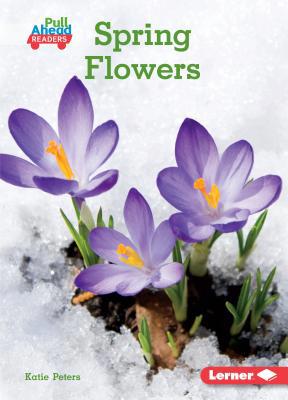 Spring Flowers 1541573455 Book Cover