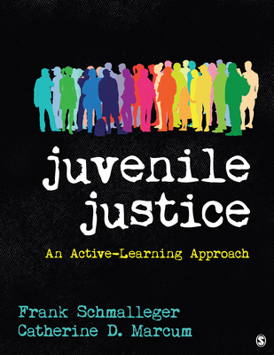 Juvenile Justice: An Active-Learning Approach 1544300409 Book Cover