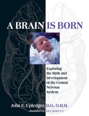 A Brain Is Born: Exploring the Birth and Develo... 1583943013 Book Cover