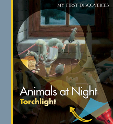 Animals at Night 1851034137 Book Cover