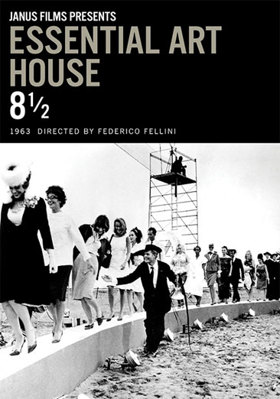 8 1/2            Book Cover