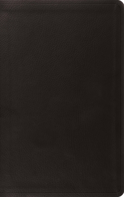 ESV Value Thinline Bible (Trutone, Black) B0DWNDQDFK Book Cover