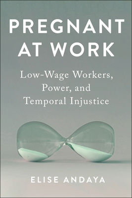 Pregnant at Work: Low-Wage Workers, Power, and ... 1479817589 Book Cover