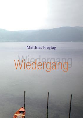 Wiedergang: Erzählung [German] 3746089638 Book Cover