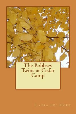 The Bobbsey Twins at Cedar Camp 1547242558 Book Cover