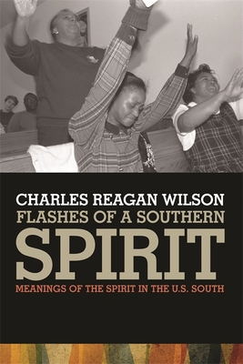 Flashes of a Southern Spirit: Meanings of the S... 082033829X Book Cover