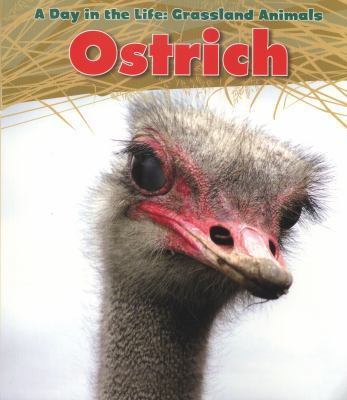 Ostrich (Day in the Life. Grassland Animals) 1406219045 Book Cover