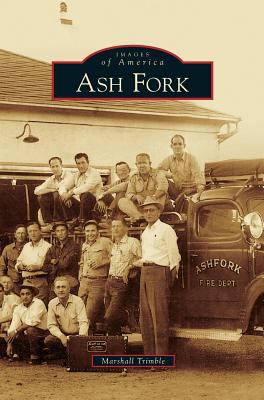 Ash Fork 1531629806 Book Cover