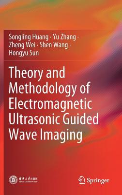 Theory and Methodology of Electromagnetic Ultra... 9811386013 Book Cover