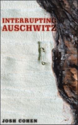 Interrupting Auschwitz: Art, Religion, Philosophy 0826455514 Book Cover