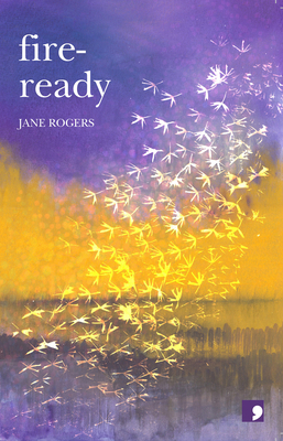 Fire Ready: And Other Stories 1912697769 Book Cover